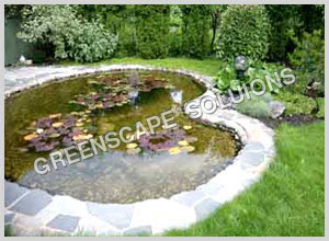 Large Pond Liners