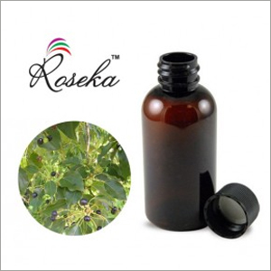 Camphor Oil
