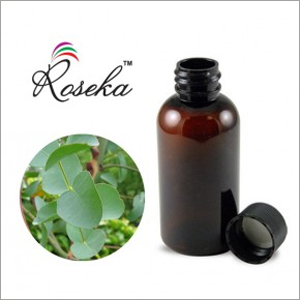 Eucalyptus Globulus Oil