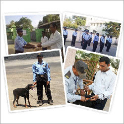 Security Guards