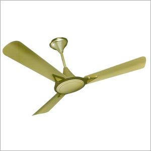 Indoor Ceiling Fans