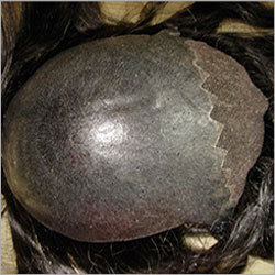 Toupees
