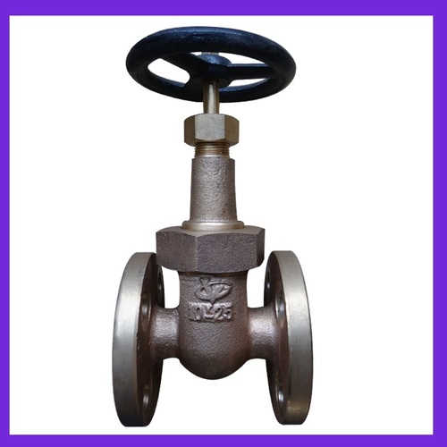 Bronze Rising Stem Type Gate Valve (JIS F7368 10K25)