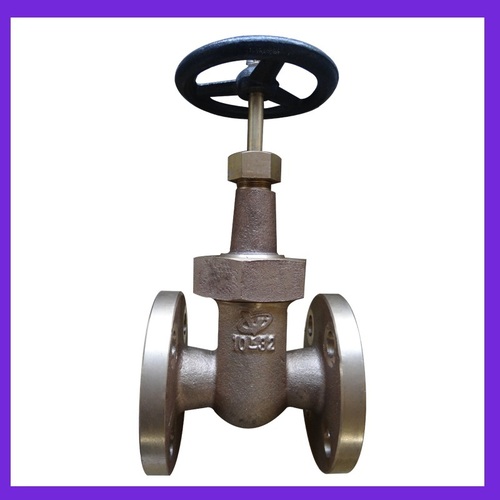 Bronze Rising Stem Type Gate Valve (JIS F7368 10K32)
