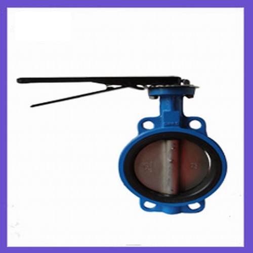 Butterfly Valve (F7480)