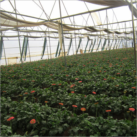 Poly House By PRABHAVI BIOTECH AND TRADING PVT. LTD.