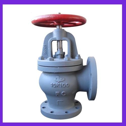 Cast Iron Screw Down Check Angle Valve (JIS F7376 10K100)