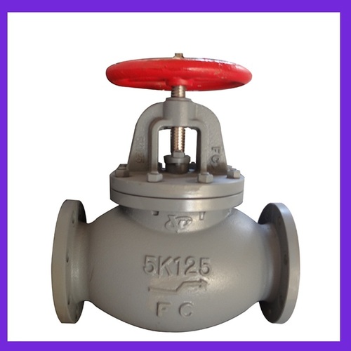 Cast Iron Screw Down Check Globe Valve (F7353 5K125)