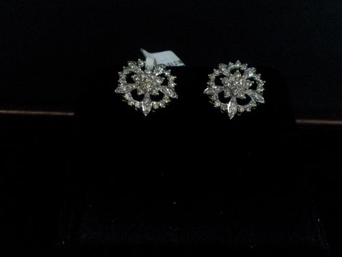 Fashionable Ladies Earrings