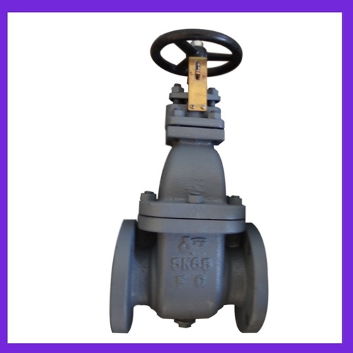 Marine Cast Iron Gate Valve (JIS F7363 5K65)