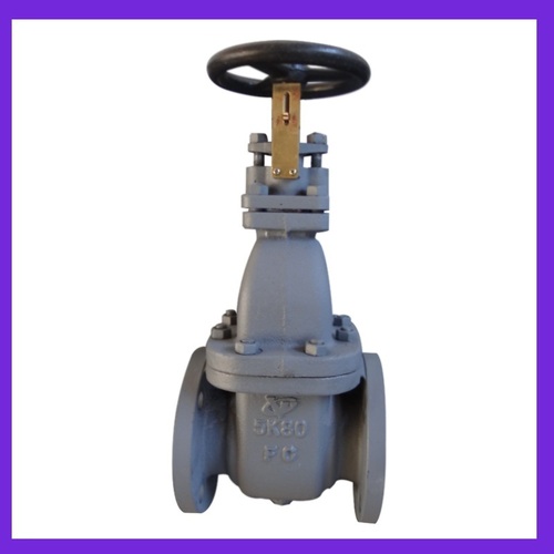 Marine Cast Iron Gate Valve (JIS F7363 5K80)