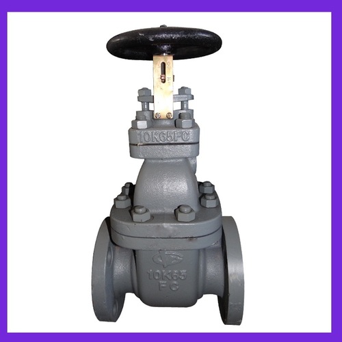 Marine Cast Iron Gate Valve (JIS F7364 10K65)