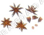 Star Anise Anasphal Age Group: For Children