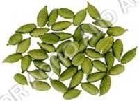 CHHOTI ELAICHI