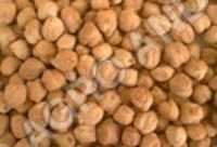 GRAM RED (CHICK PEAS)