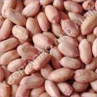 GROUNDNUT