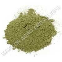 DRY MUSTARD EAF POWDER
