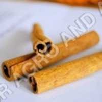 CLOVE STICKS