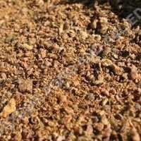 COTTON SEED MEAL