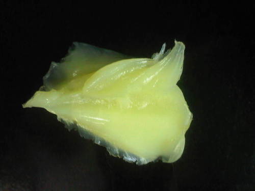 Yellow Soft Paraffin BP