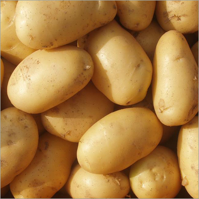 Farm Fresh Potatoes