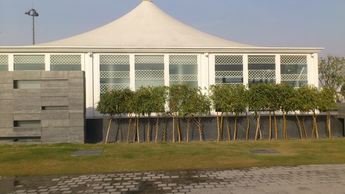 Tensile Canopy Structure