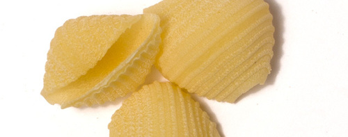 Conchiglie Pasta