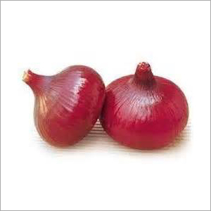 Fresh Onion