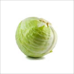 Fresh Cabbage