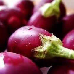 Fresh Brinjal
