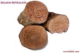 Salacia Reticulita