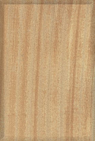 Light Dark Glossy Series wall tiles