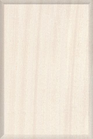 Light Dark Glossy Series wall tiles