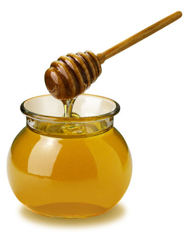 Honey Testing Services