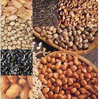 Oil Seeds and By-Products Testing Services