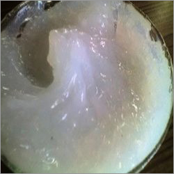 Silicon Compound