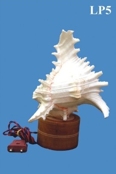 Murex Lamp
