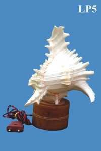 Murex Lamp