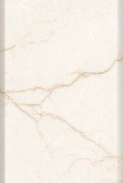 Light Dark Glossy Series Wall Tiles