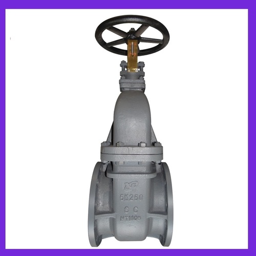 Marine Cast Steel Gate Valve (F7363C 5K250)
