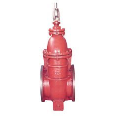 Tanker Valve - Stainless Steel, Flanged | Corrosion Resistant, Durable, Reliable Sealing, Easy Operation
