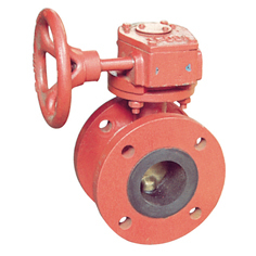 Center Double Flange Butterfly Worm-Type Valve - Steel, Manual Operation, CCS DNV Certified