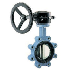 Marine-centered flange worm manual butterfly valve
