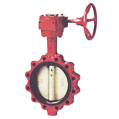 Worm gear-style center lug type butterfly valve