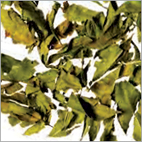 Natural Henna Leaves
