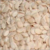Egusi Melon