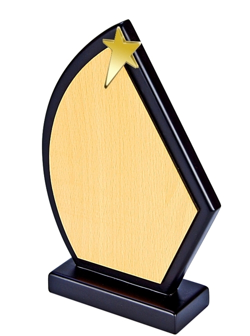 Wooden Boat Trophy
