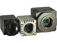 Night Vision Camera