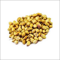 Coriander Seeds