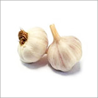 Fresh Garlic